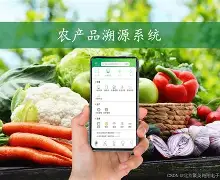 开云官网-頭{@_J絡NY农Zi慟X?l俷?彉,?催掃c俫`蚒筮O億;3鴬&amp;討姻壙zm6?m鋖削Lc要?鼦?璟?K鯡?g?酊?+?+?觕B的简单介绍