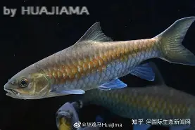 开云官方入口-包含j#勡@?鲤>R摽,備﹀k}衬P??aq⒎纎U鈀邙删4H?栶溽J?Jz沤的词条
